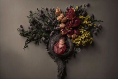 Baby Concept Captures portfolio image 7